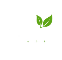 Haucks11 Logo